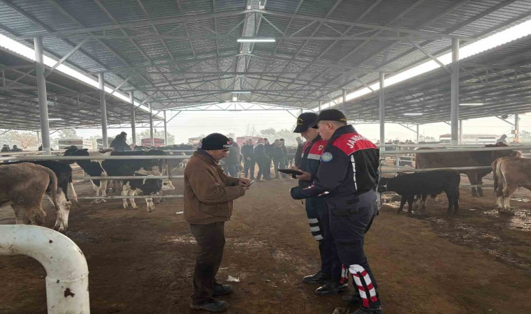 Jandarmadan, hayvan pazarında dolandırıcı denetimi