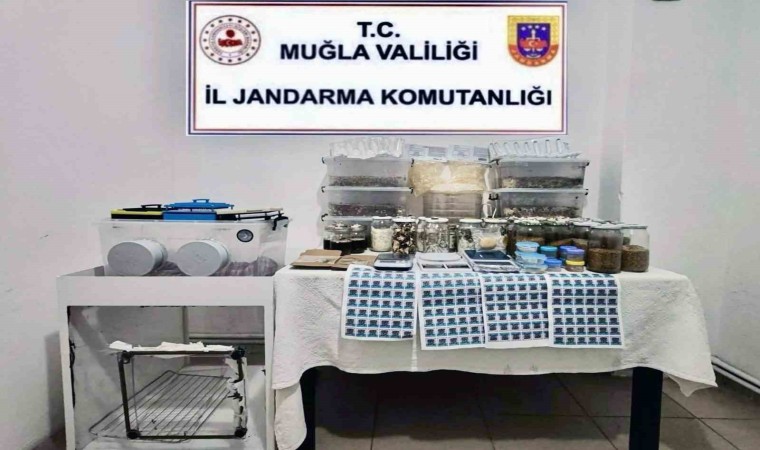 Jandarmadan operasyon: 110 milyon TL değerinde 22 kilo uyuşturucu ele geçirildi