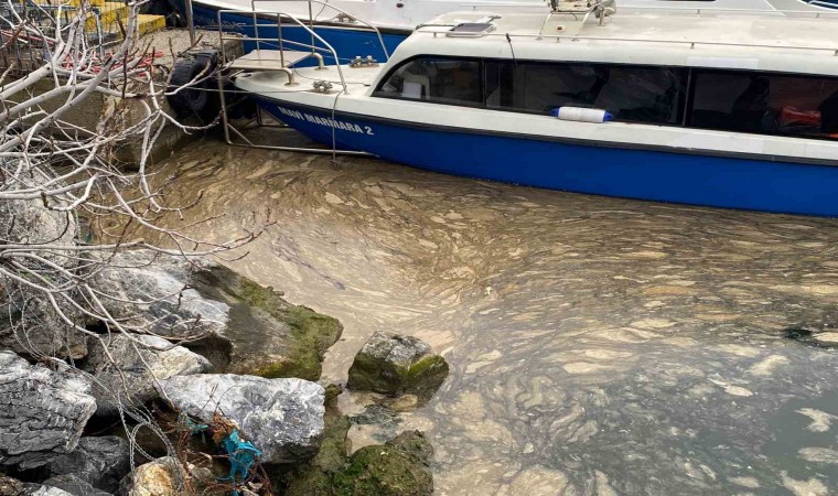 Kadıköyde deniz yüzeyinde müsilaj tehdidi