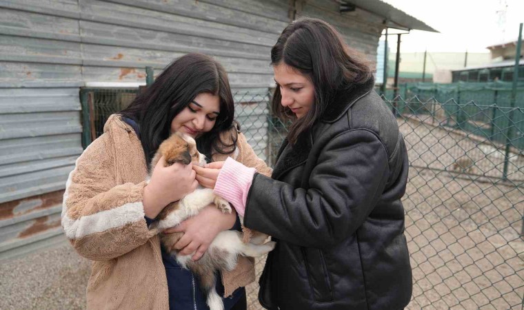 Keçiören Belediyesi Pati Yaşam Köyündeki hayvanların ziyareti 4 güne çıktı