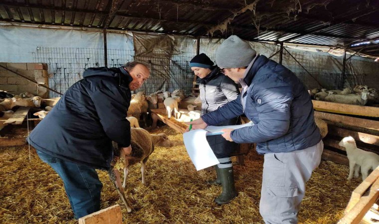 Kırklarelide küçük ve büyükbaş hayvanların kontrolleri yapıldı