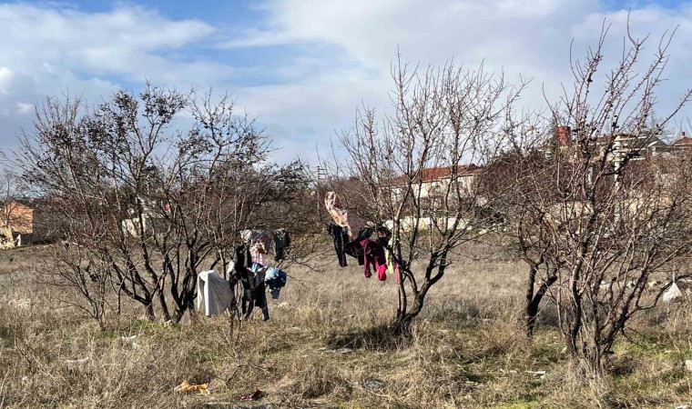 Kış ortasında kuruması için ağaca asılan elbiseler