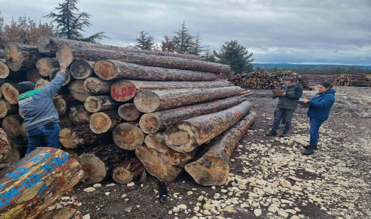 Kütahyada orman emvallerinin yıl sonu sayımları yapıldı