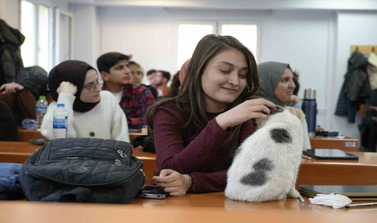 ‘Labne fakültede öğrencilerle derslere giriyor