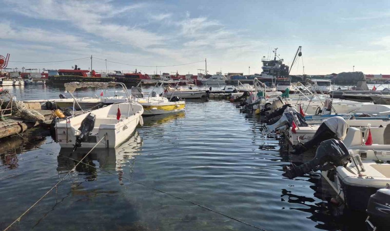 Marmara Denizinde müsilaj yeniden ortaya çıktı