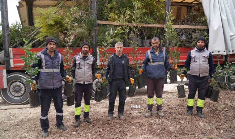 Mersin Büyükşehir Belediyesinden Adıyamana yeşil destek