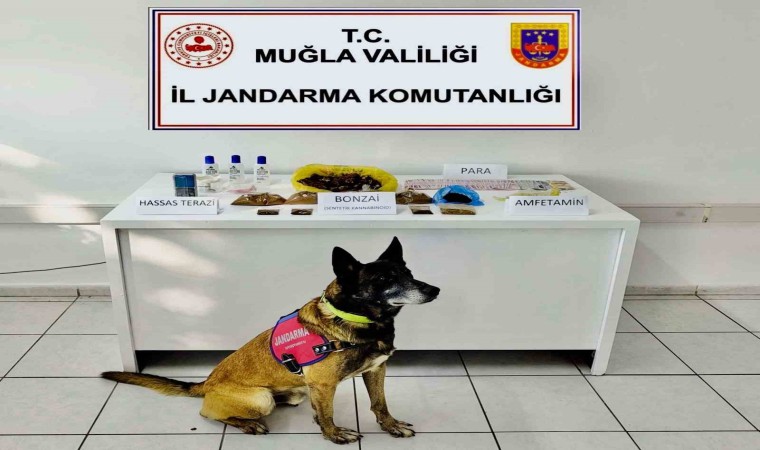 Muğlada uyuşturucu operasyonunda 2 gözaltı