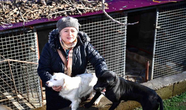 Ortahisar Belediyesinden hayvansever vatandaşlara mama desteği