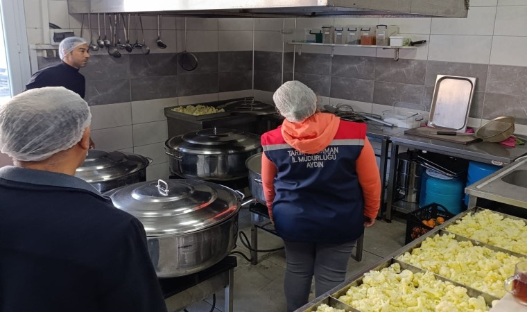 Sökede 1 yılda 2 bin gıda işletmeleri denetlendi