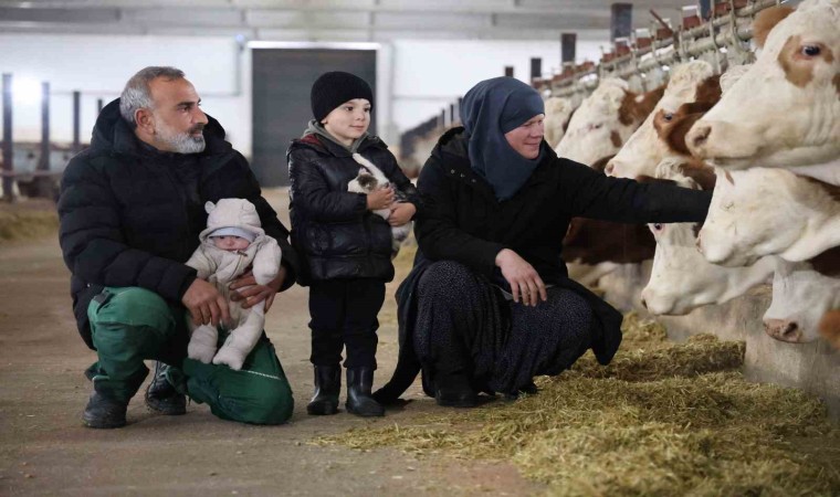 TKDKdan aldığı destekle ülkesine dönüp çiftlik kurdu, 432 ton süt üretiyor