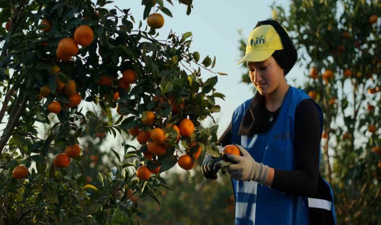 Yaş meyve ve sebze ihracat rekortmeni Altundan halka arz başvurusu