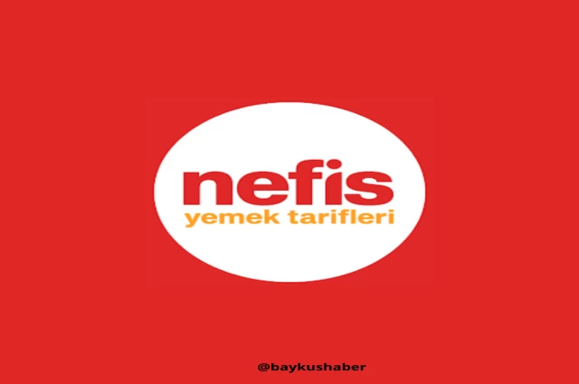 Hayat Kurtarıcı Blog: Nefis yemek tarifleri