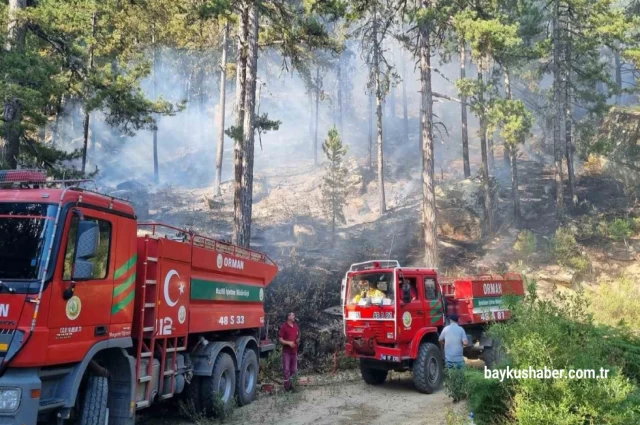 Bozdoğan Kaymakamlığından Yangın Uyarısı Geldi