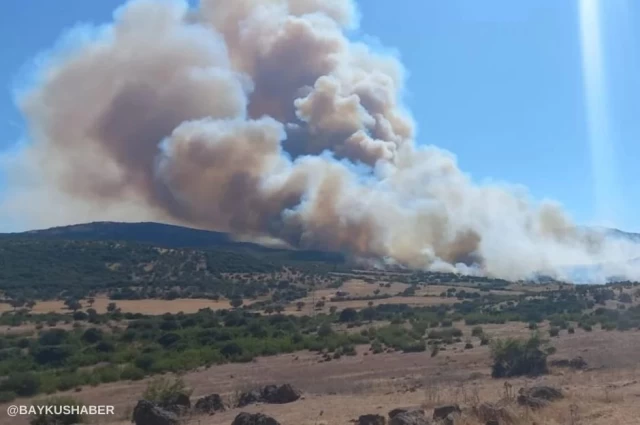 Türkiye'nin Yangın Risk Haritası Ortaya Çıktı!