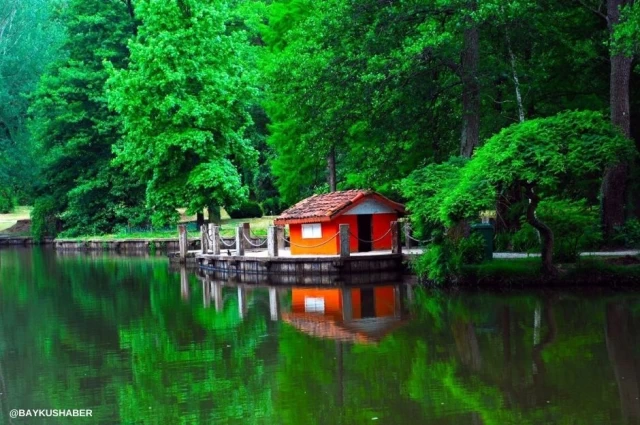 Atatürk Arboretumu Nerede, Nasıl Gidilir?