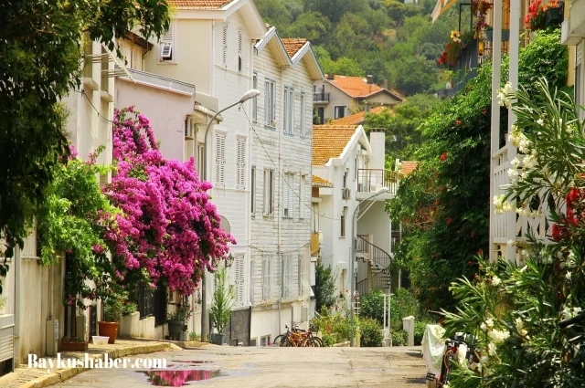 Büyükada'da Yapılacak Aktiviteler