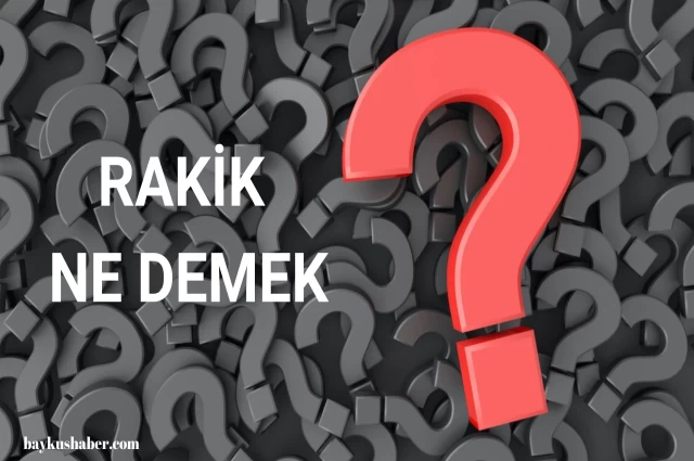 Rakik ne demek? Rakik kelimesinin anlamı nedir?