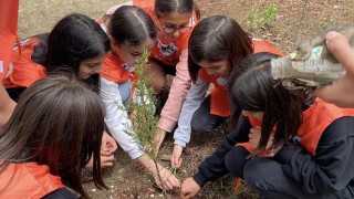 Taşovada minik doğaseverler parkta fidan dikti