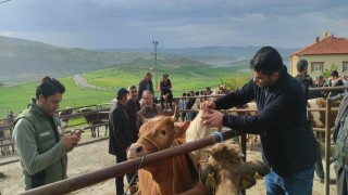 Yozgatta hayvan pazarları tedbir amacıyla kapatıldı