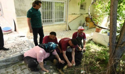 174 vatandaşın evlerine gidilerek, kurban kesim hizmeti verildi