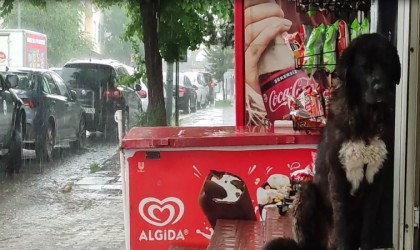 Ardahanda etkili olan sağanak, hayatı olumsuz etkiliyor