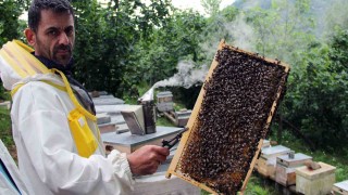 Arılar yağışlı hava şartlarından olumsuz etkilendi, bal rekoltesinde düşüş bekleniyor