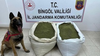 Bingölde 45 kilo uyuşturucu madde ele geçirildi