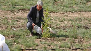 Her yıl binlerce fidanı toprakla buluşturuyor, bozkırı yeşile büründürüyor