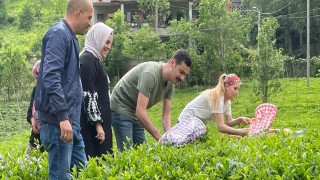 İkizdere Kaymakamı eşiyle çay topladı, fabrikada çayın işlenmesini inceledi