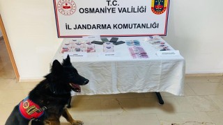 Jandarma uyuşturucu operasyonu;4 gözaltı