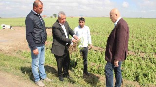 Karamanda dolu ekili arazilere zarar verdi, tarlalar kış mevsimi gibi beyaza büründü