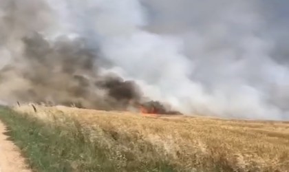 Kırklarelide 90 dönümlük buğday tarlası küle döndü