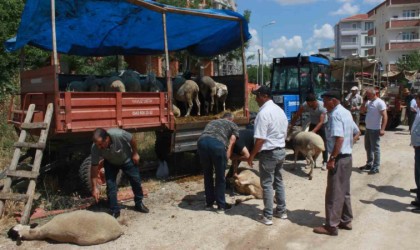 Kırklarelinde kurbanlar alıcısını bekliyor