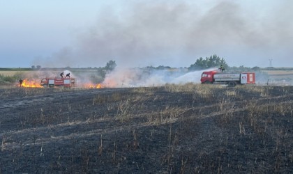 Kırklarelinde yangın: 20 dönüm buğday küle döndü