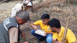 Kuruyan ormanlara zararlı böcekleri yok eden faydalı böcekler bırakıldı