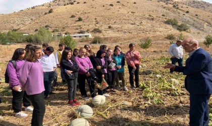 Öğrencilere tarlada ata tohumun ve organik tarımın önemi anlatıldı