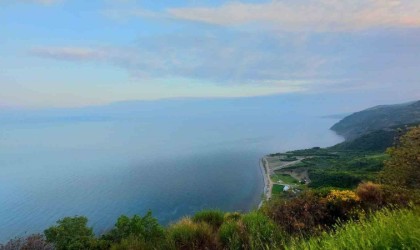 Tekirdağda ormanda piknik yapmak yasaklandı