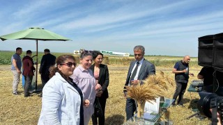 Tritikale Tanıtım ve Tarla Gününde hasat yapıldı