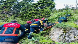 Uçuruma yuvarlanan kamyonet sürücüsü hayatını kaybetti