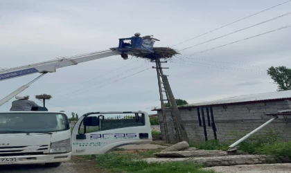 Açlıktan bitkin düşen yavru leylek, vinçle kurtarıldı