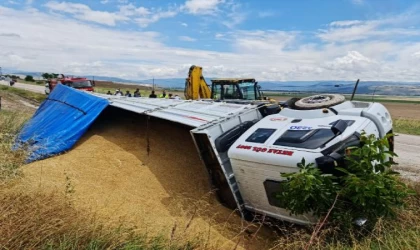 Amasya’da buğday yüklü TIR devrildi