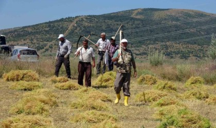 Aylıkları 30 bin liraya geliyor ancak sayıları her geçen gün azalıyor