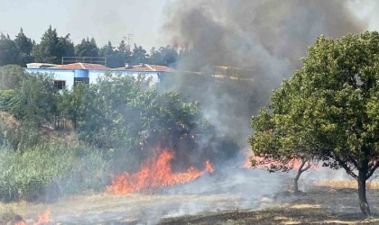 Çorluda 600 dönüm anız ve ağaçlık alan cayır cayır yandı