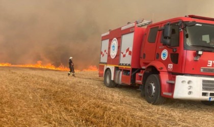 Hayraboluda buğday ekili alan yandı