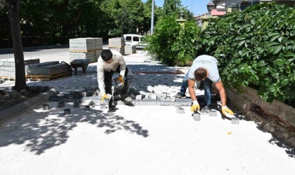 Isparta Belediyesi den begonit taş çalışması