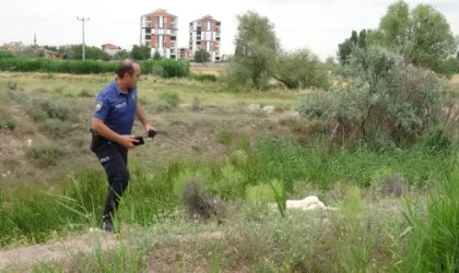 Köpeği av tüfeği ile öldürdü, ’Tavuklarıma saldırdı’ dedi