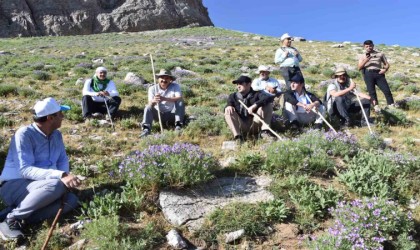 Mereto Dağı turizme kazandırılıyor