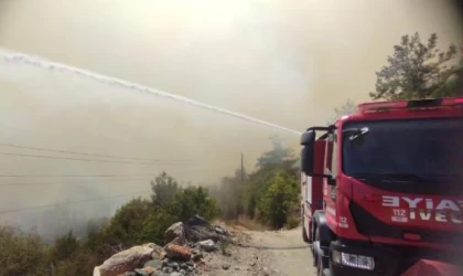 Osmaniye’de orman yangını (2)