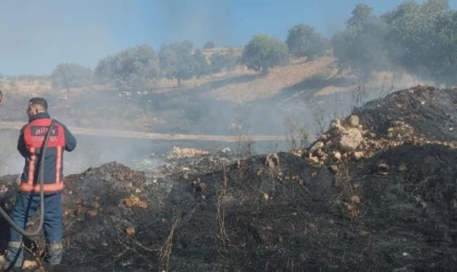 Siirt’te çıkan örtü yangını söndürüldü