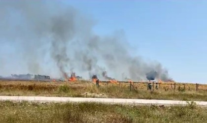 Tekirdağda buğday tarlası kül oldu